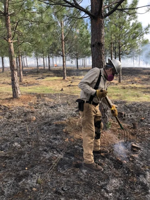 Broadcast burning in Colfax