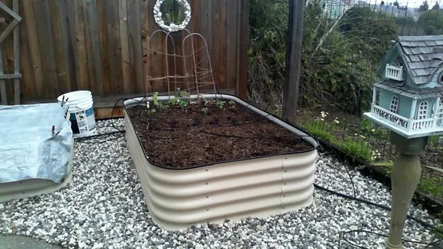 photo by Kathy Craig