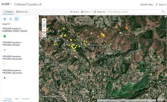 Informatics and GIS online training will teach you how to create maps from data using ArcGIS tools. This map shows the location of Niamh Quinn's collared coyotes.