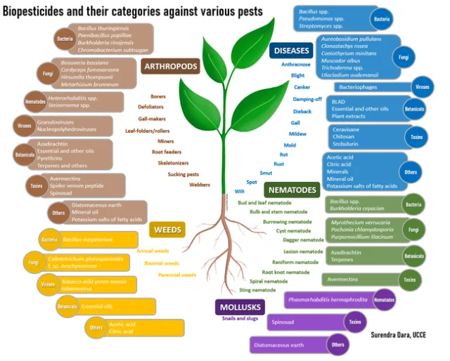 Biopesticide categories-Surendra Dara