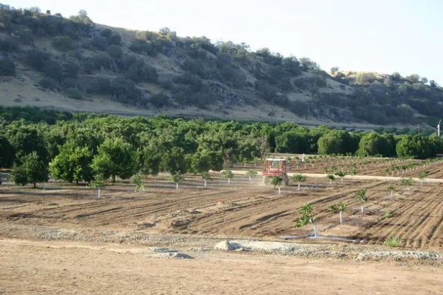 Lindcove Research & Extension Center, located in the foothills of Tulare County, has land, labor and facilities available for 2021-22 research projects.