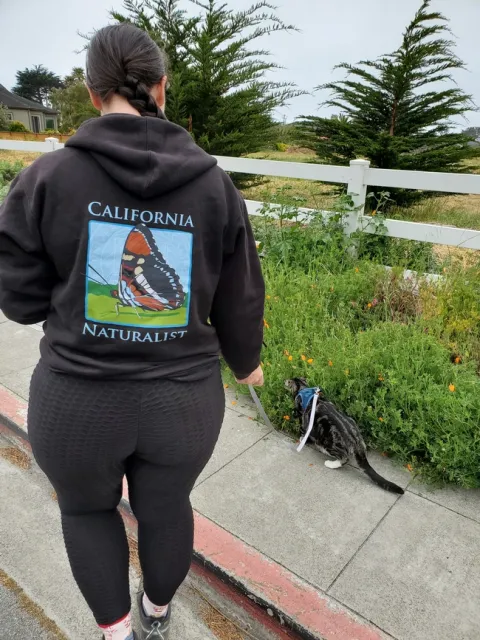 Sarah-Mae Nelson and her cat won an urban photo award.