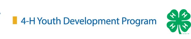 4-H Clover with ydp tag (cropped brand)