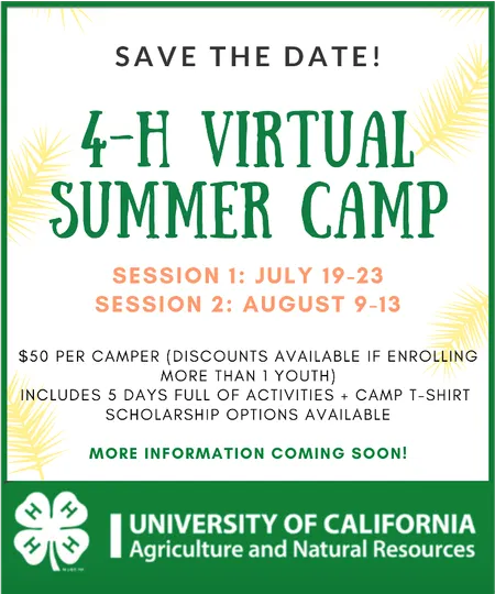 4-H Virtual Camp Save the Date
