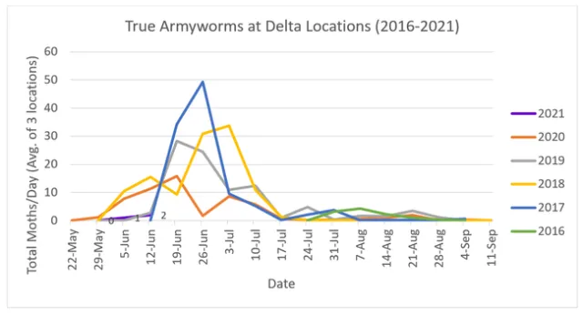 2021-6-17 Delta Rice Armyworm Monitoring Begins Figure 1