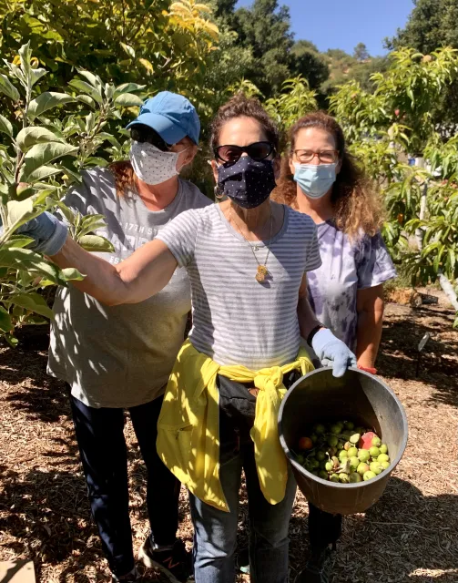 Linda Wineberg-Deb Light-Pacheco-Reni Dolan 6-22-21