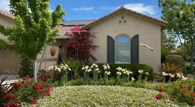 Lilies in landscape 05 26 2021 cropped