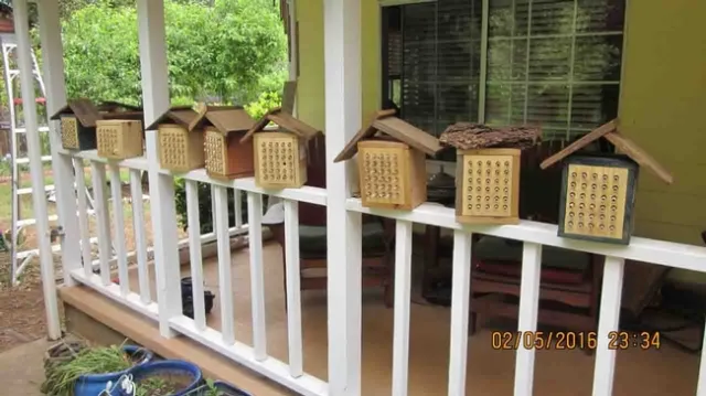 Mason bee boxes, Tom Hansen