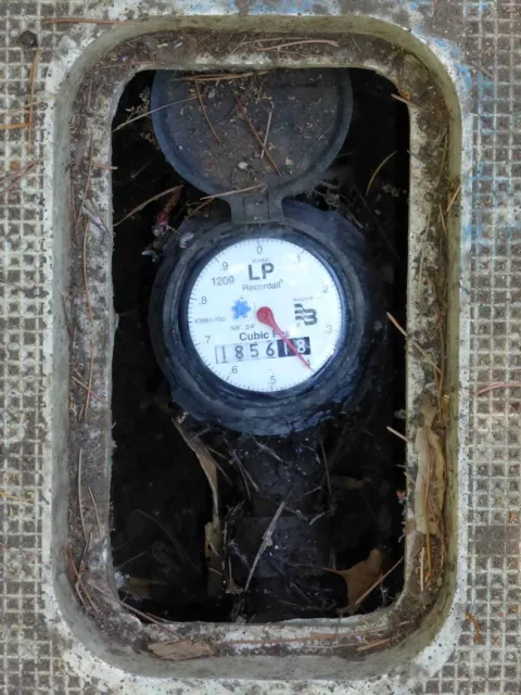 Water meter dial