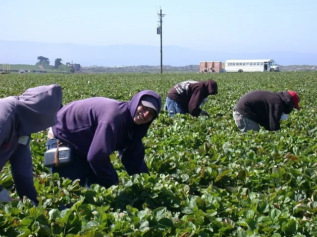 Farmworkers