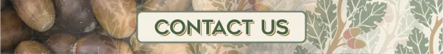 Contact Banner