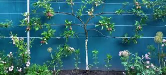 paint for sun expsore