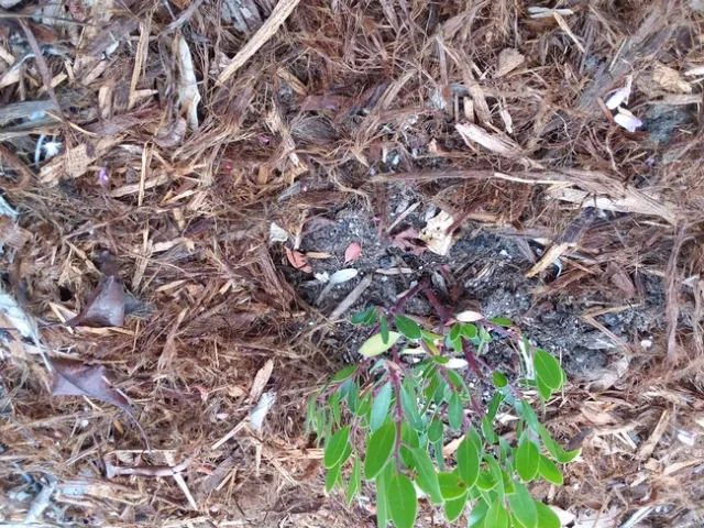 Photo by Polly Nelson