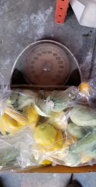 photos by Tina Paris