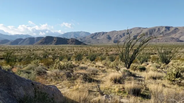 PXL 20210314 001300076