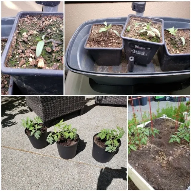 photos by Nancy Forest