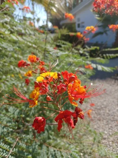 photos by Jenni Dodini