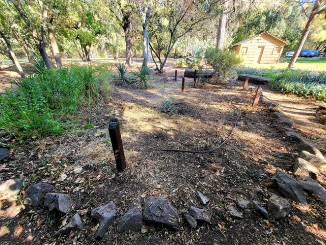 After most of Spurge removed.