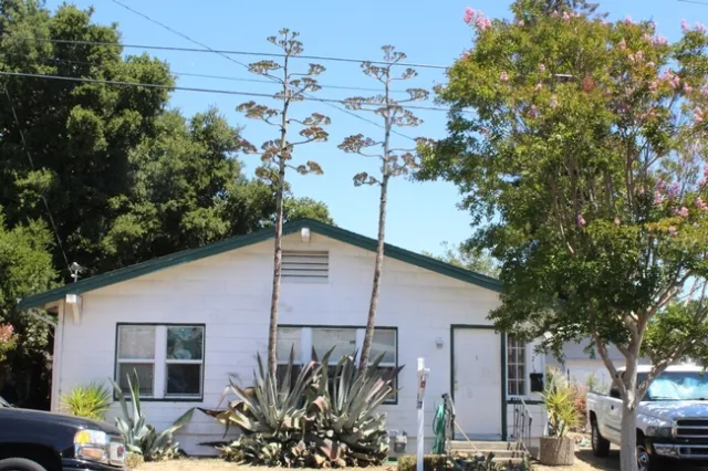 photos by Brenda Altman