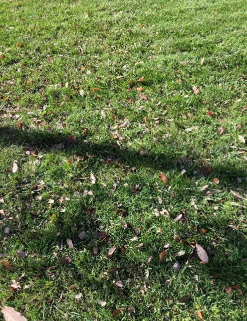 photos by Michelle Davis