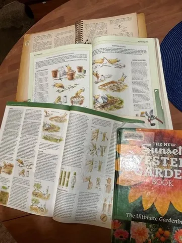 photo by Tina Saravia