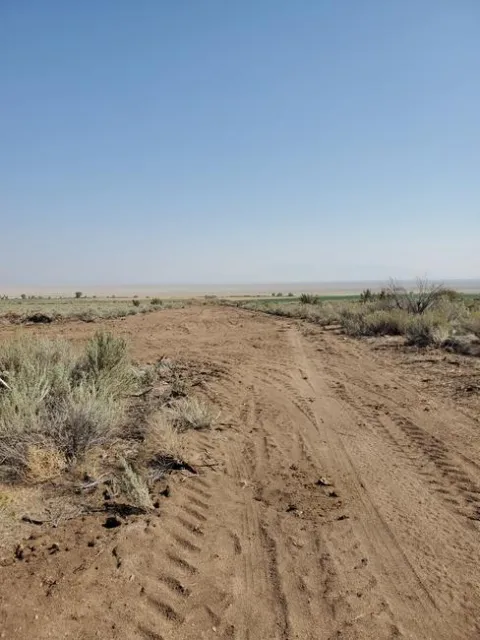 Dozer Line up Close Sage