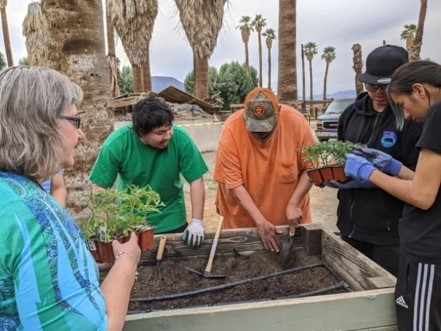 People hold green seedlings to plant.
