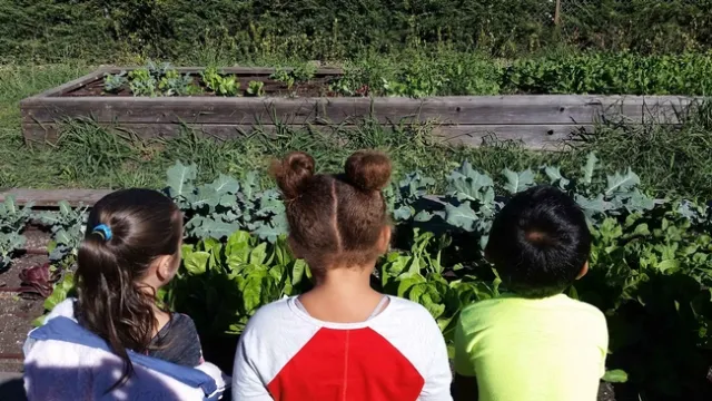 Living Lab program, kids watching plants grow, Karina Hathorn