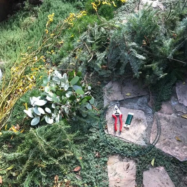 Getting started. photos by Karen Metz