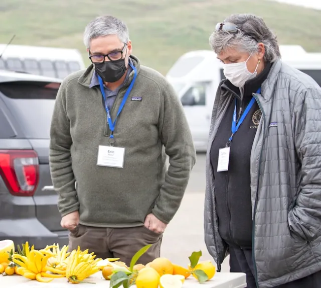 Man and woman look down at a table displaying an array of citrus varieties.