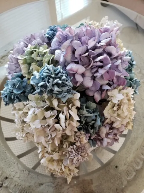 Everlasting bouquet.