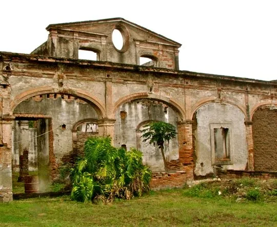 photo credit Jim Cook