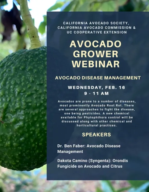 avo webinar feb 16