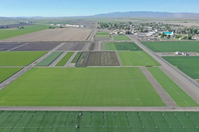 Green squares of crop land in foreground and unplanted brown land in upper left. Buildings dot the landscape in upper right.