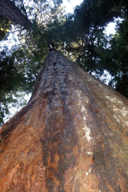 4015125225 2b7057335b k