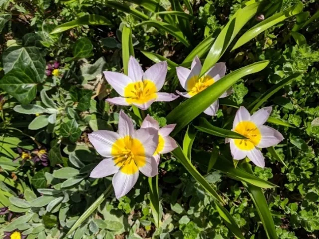 photos by Nanelle Jones-Sullivan