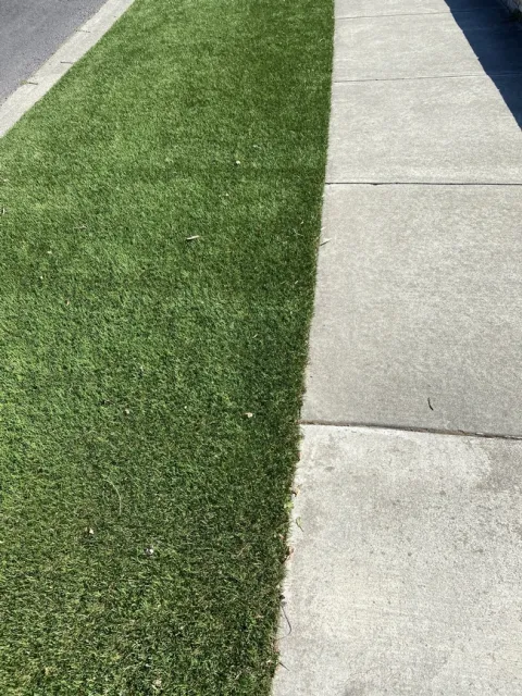 Fake Lawn1
