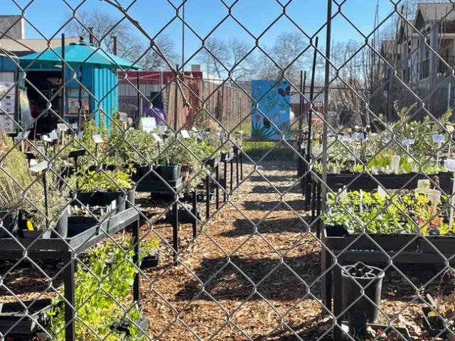 Harvests & Habitats Nursery, Sherri Scott