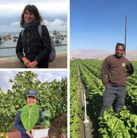 Help our new colleagues get off to a strong start and recruit more talented people to join UC ANR. From top clockwise: Recent hires Amira Resnick Philip Waisen Hung Doan