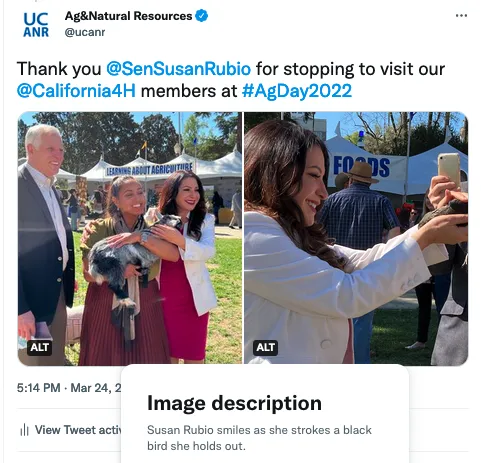 A Twitter post with photo description that reads: Susan Rubio smiles as she strokes a black bird she holds out.