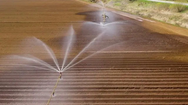Recortes de agua en agricultura debido a sequia