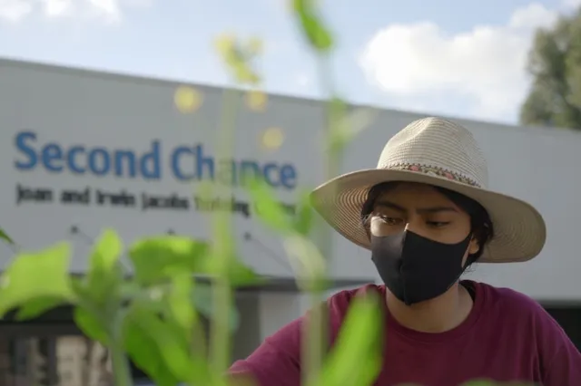 Entrada de la organización