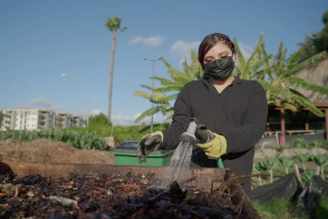 Los jóvenes adquieren conocimiento valiosos en jardinería, paisajismo y agricultura, al tiempo que promueven el cuidado del medioambiente.