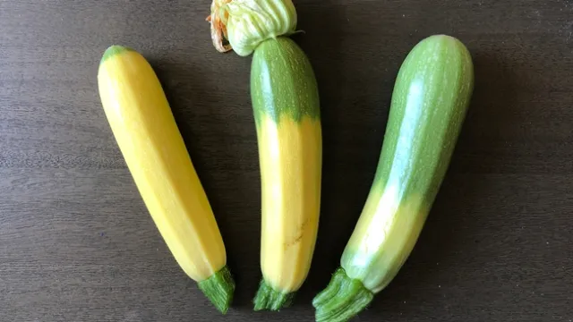 yellowish squash