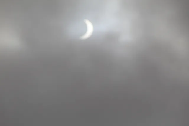 A solar eclipse can cause disruptions in circadian cycles. photos by Brenda Altman