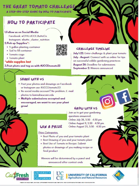 The Great Tomato Challenge