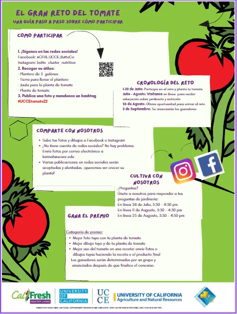 The Great Tomato Challenge Spanish