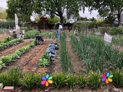 CommunityGarden-2-smaller