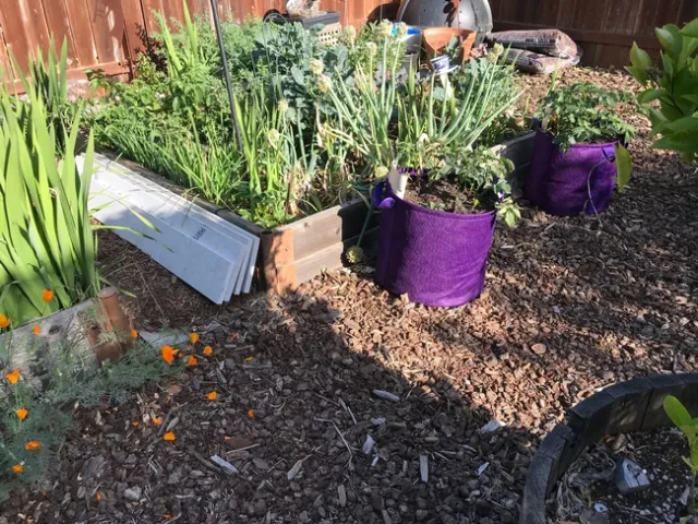 photos by Karen Metz