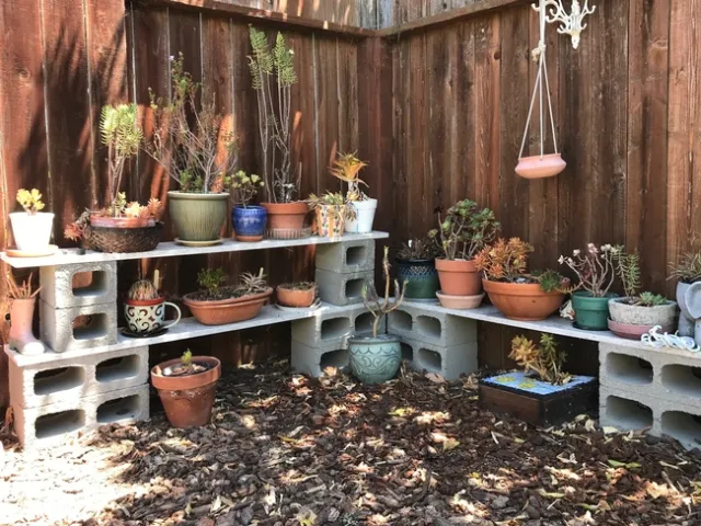 Plant shelves